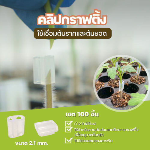 Grafting clips (กราฟติ้งคลิป) 100 ชิ้น รูปที่ 2