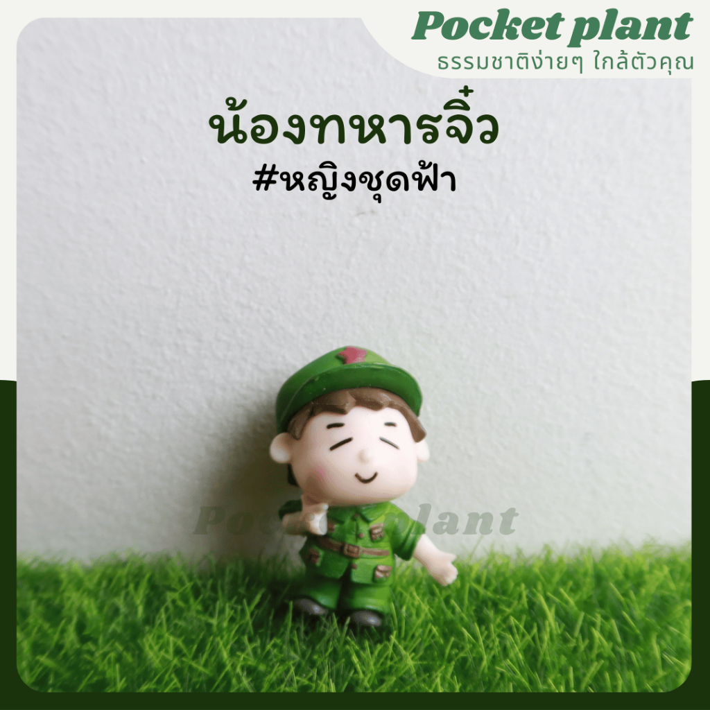 มุมมอง 8