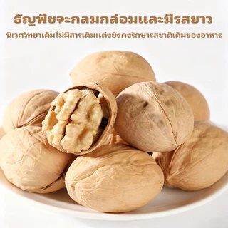 วอลนัท 400 กรัมต่อถุง เปลือกทั้งอบกรอบและหวาน เติมพลังสมอง รสชาติกรอบและบ๊อง