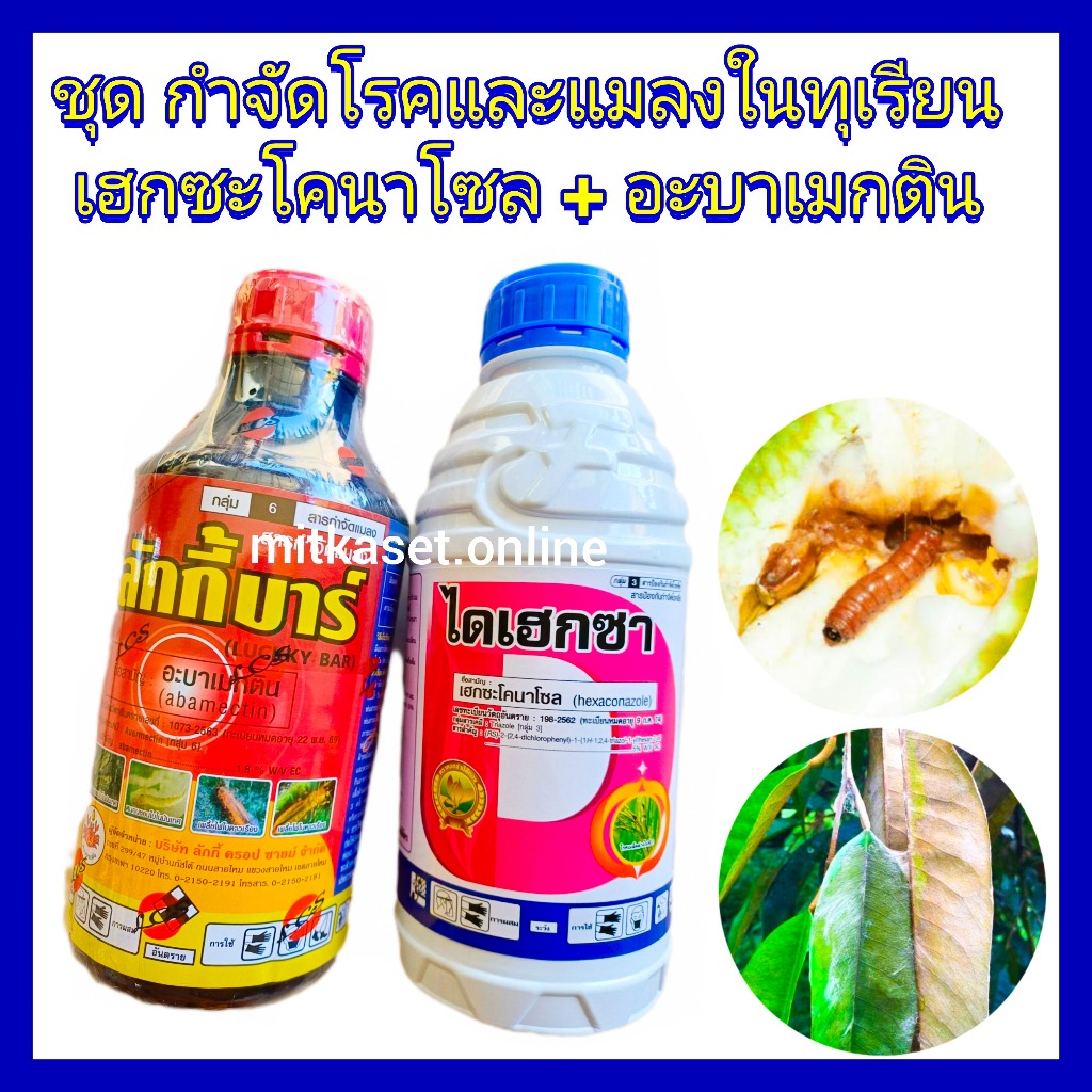 ชุด กำจัดโรคและแมลงในทุเรียน ยาทุเรียน เฮกซะโคนาโซล 1ลิตร+ อะบาเมกติน 1 ลิตร กำจัดโรคใบติด ใบไหม้ หนอนเจาะ เพลี้ยไฟ