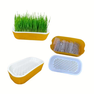 Boqi Factory 🌱ชุดปลูกหญ้าแมว🌱 หญ้าแมวออแกนิก เมล็ดข้าวสาลี ถาดเพาะต้นอ่อน 1 ชุด YC-709