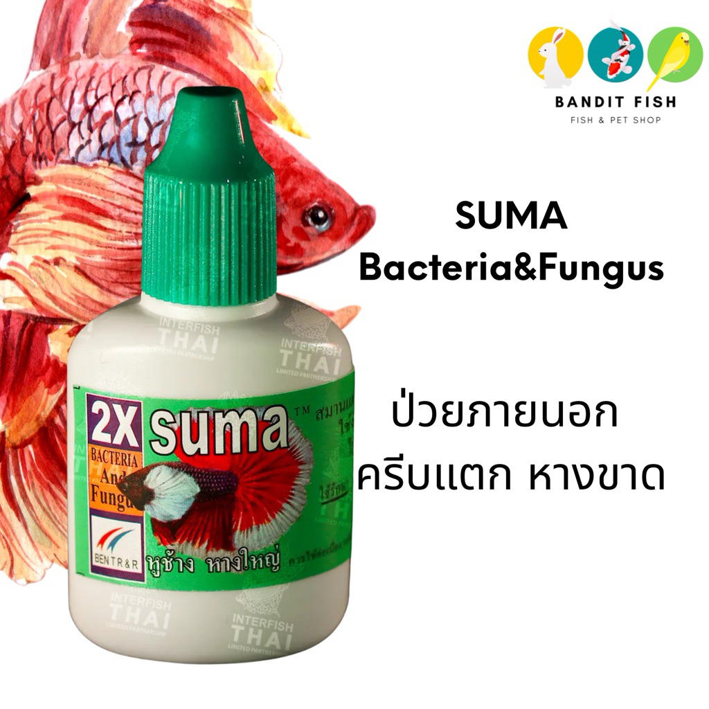 SUMA BT&FG : สำหรับปลากัด 12ml.