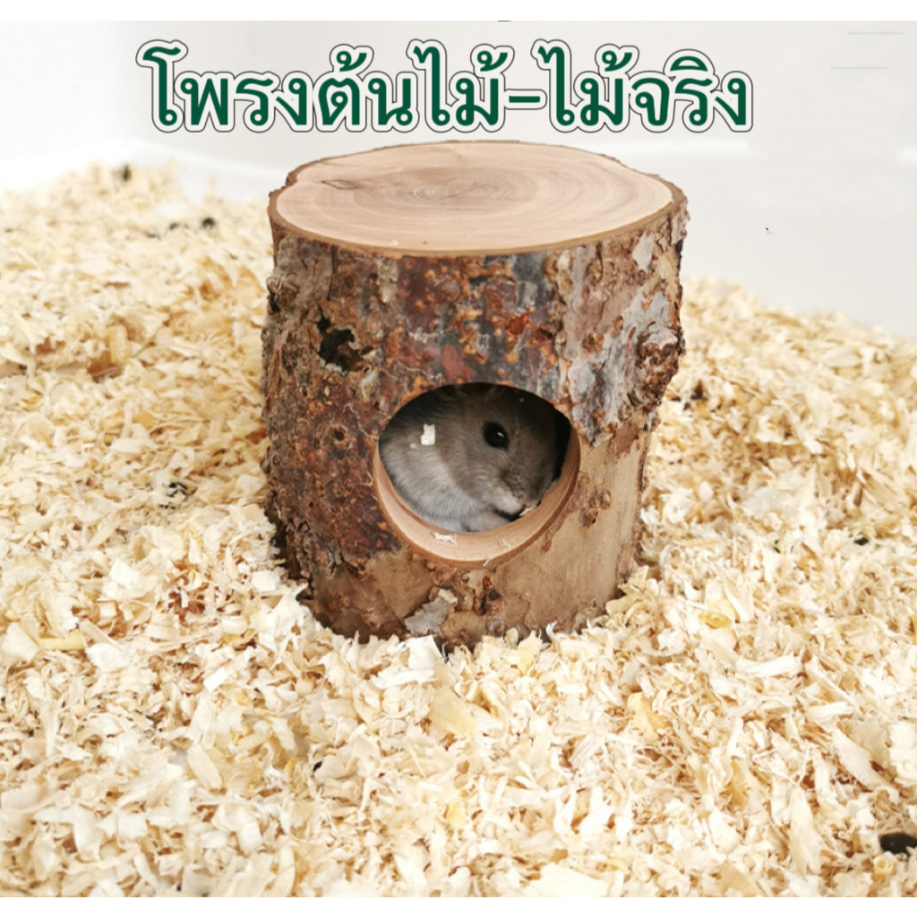 Ming ของเล่นแฮมเตอร์ โพรงต้นไม้ ไม้แอปเปิลจริง ของตกแต่งกรงแฮมเตอร์ ของเล่นสัตว์ขนาดเล็ก น่ารัก พร้อมส่ง