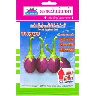 เมล็ดพันธุ์ มะเขือไข่เต่าม่วงรี ชมพูนุช ตะวันต้นกล้า