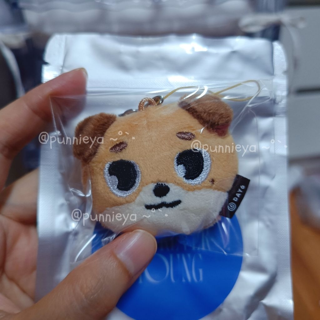 Day6 Denimalz Face Keyring "Don" 🐶 DAY6 FOREVER YOUNG FINAL in SEOUL ใหม่ในซีลไม่เคยห้อย