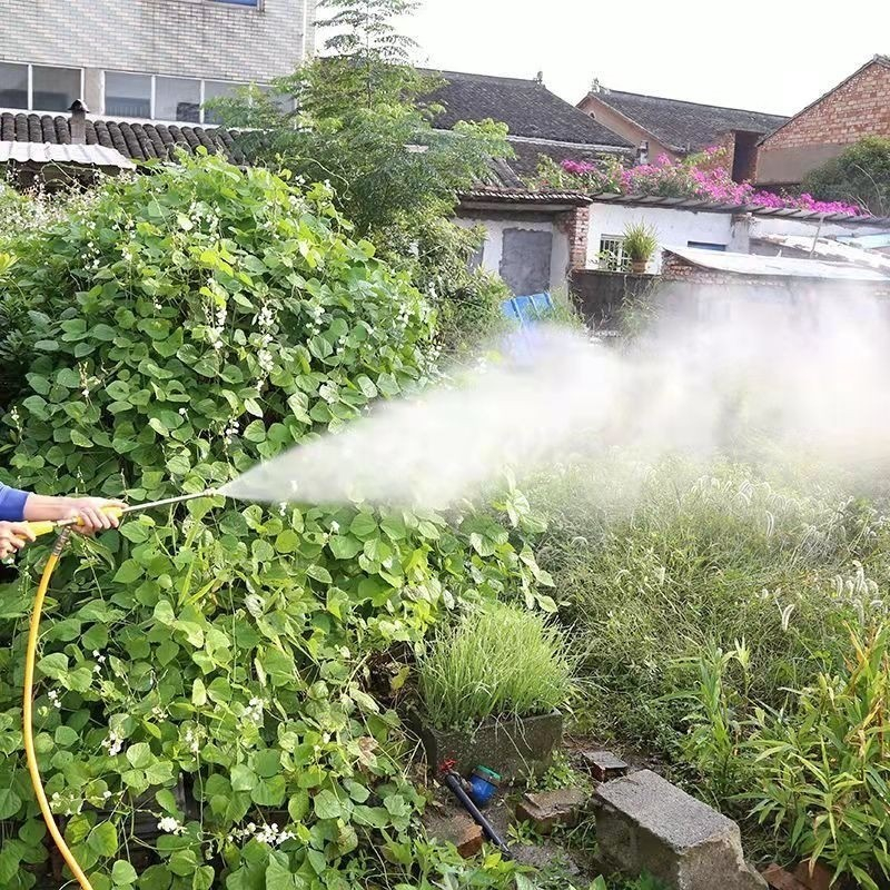 รูปภาพ 8