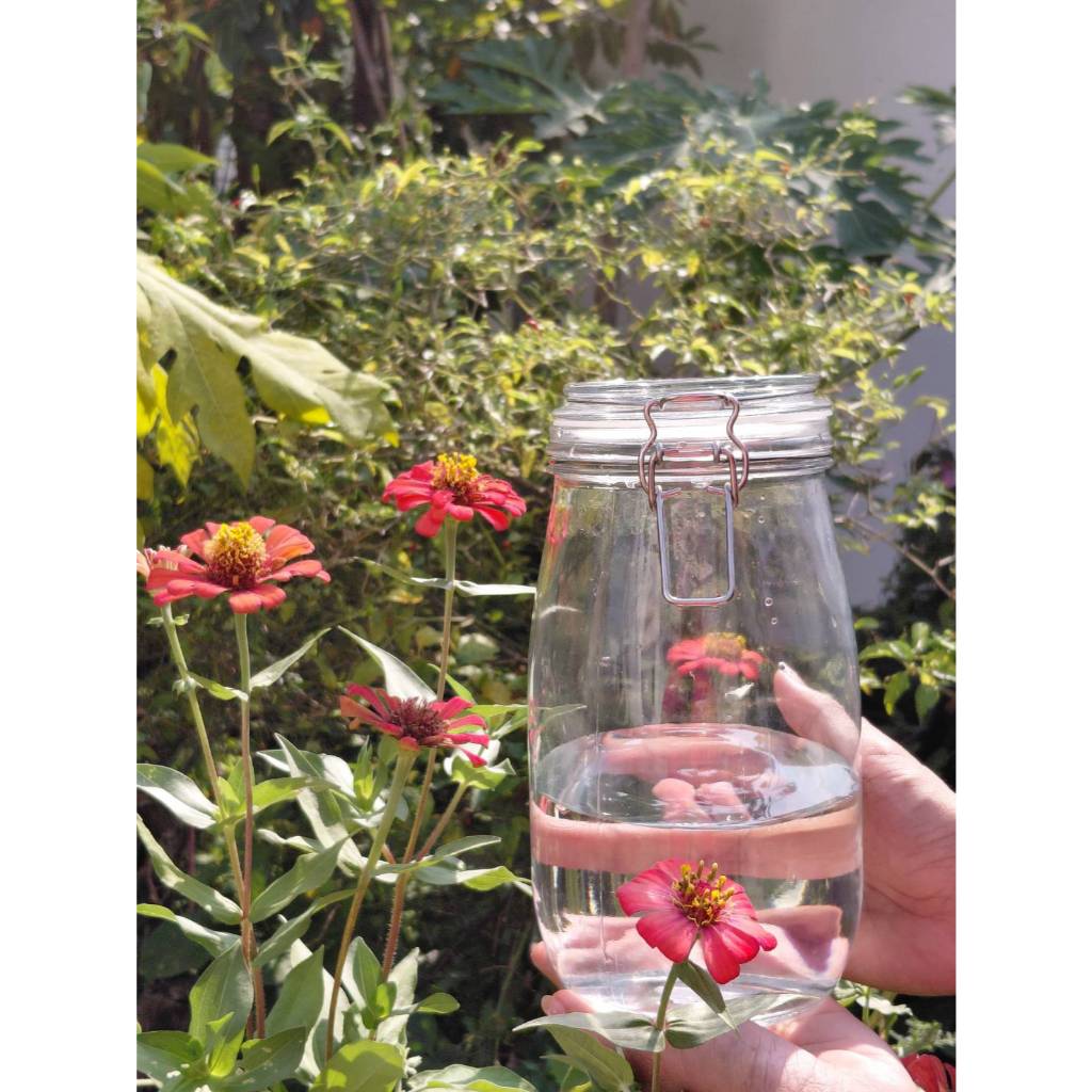 ขวดโหลแก้วใส ฝาล็อกแน่น เหมาะกับใส่ขนม  ของแห้ง หรือใช้ตกแต่ง 2ลิตร/3.2ลิตร  (สินค้าส่งจากไทย) - รูปที่ 3