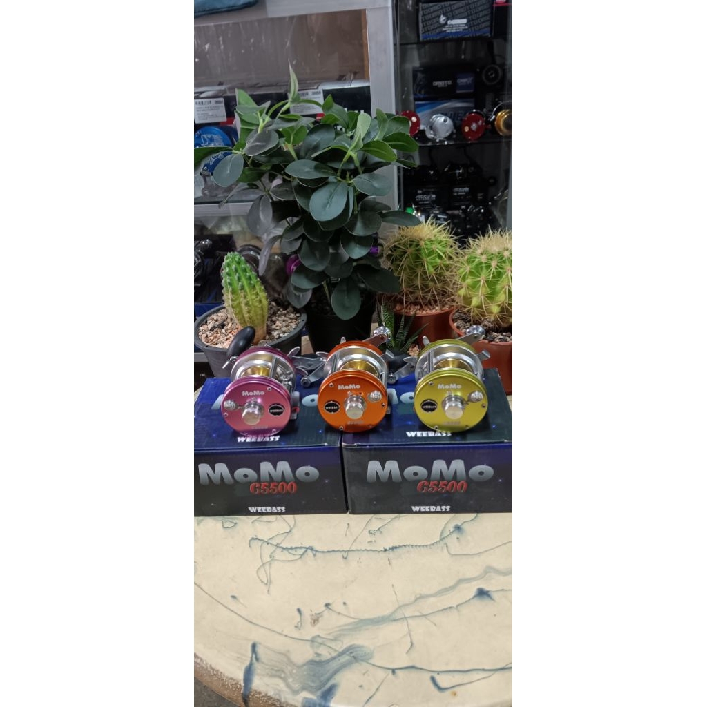 WEEBASS MOMO C5500 หน้าแคบ