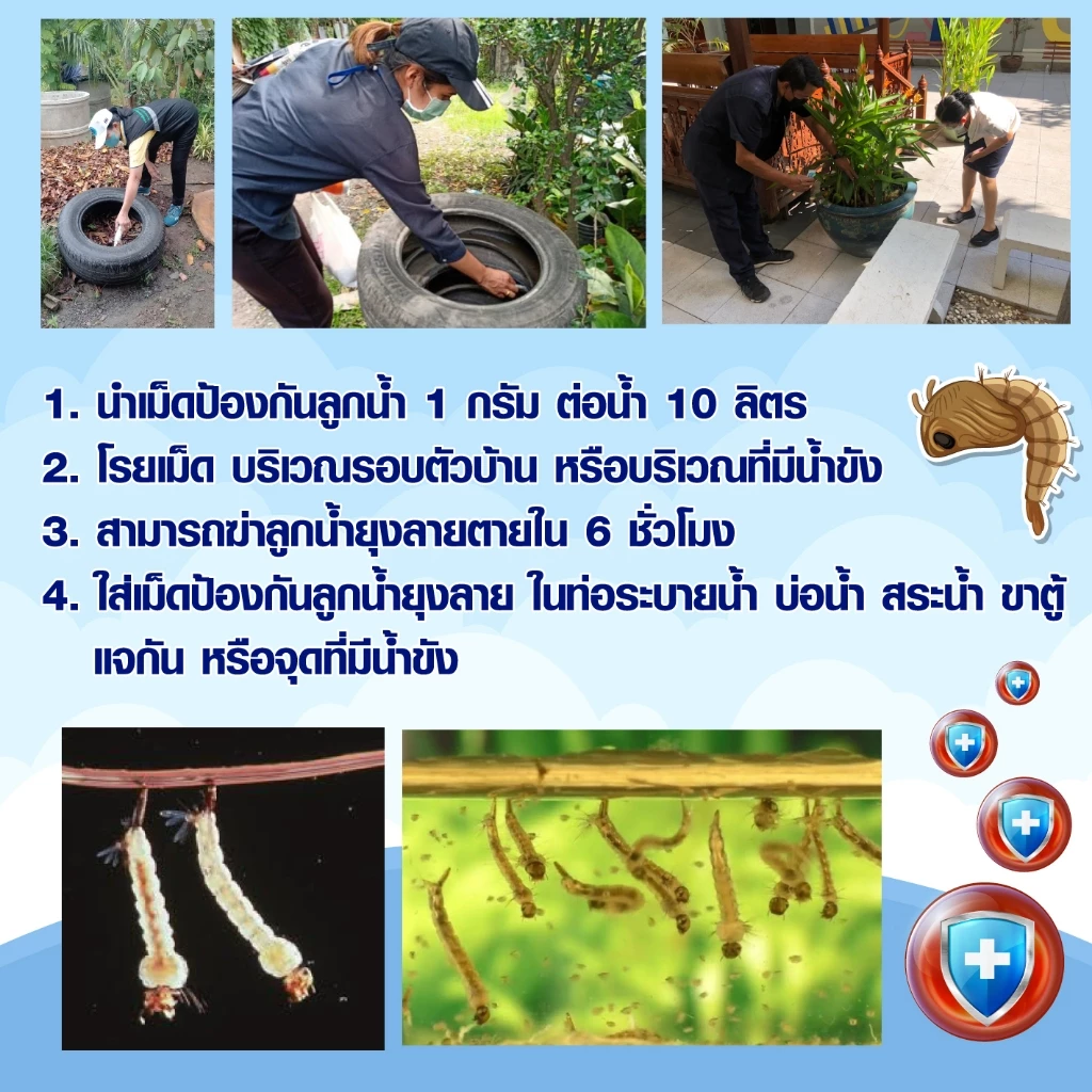 ป้องกันยุงลาย ในบ่อ อ่าง ไม่อันตรายต่อปลา เม็ดป้องกันลูกน้ำ thumbnail 5