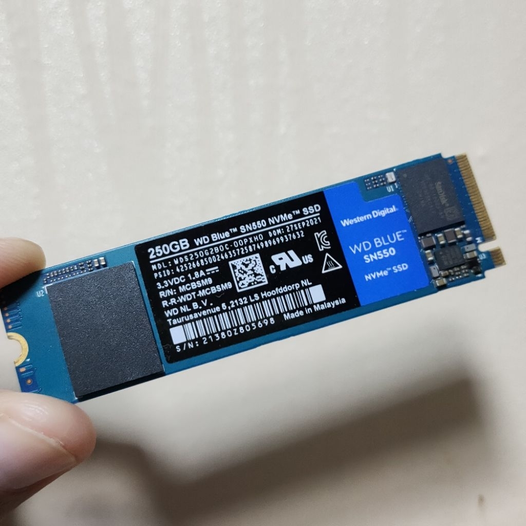 WD Blue SN550 250GB ประกัน SYNNEX ถึงเดือน 11 ปี69
