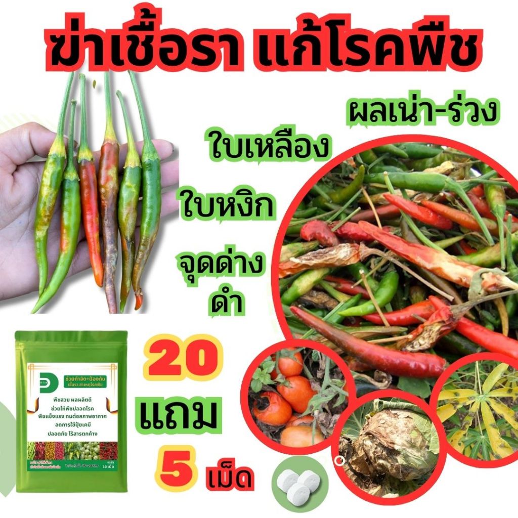 ดี-ไวท์ เม็ดฟู่เทพ กำจัดโรคพืช เชื้อรา แบคทีเรีย โรครากเน่า โคนเน่า โรคพืชทุกชนิด  >>20 แถม 5  เม็ด<<