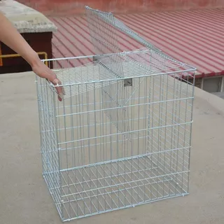 *เข้าได้แต่ออกไม่ได้* Flip Cage กรกดักนกเขา เพนียดดักนก กรงกับดักนกพิราบ ดักนกได้หลายชนิด