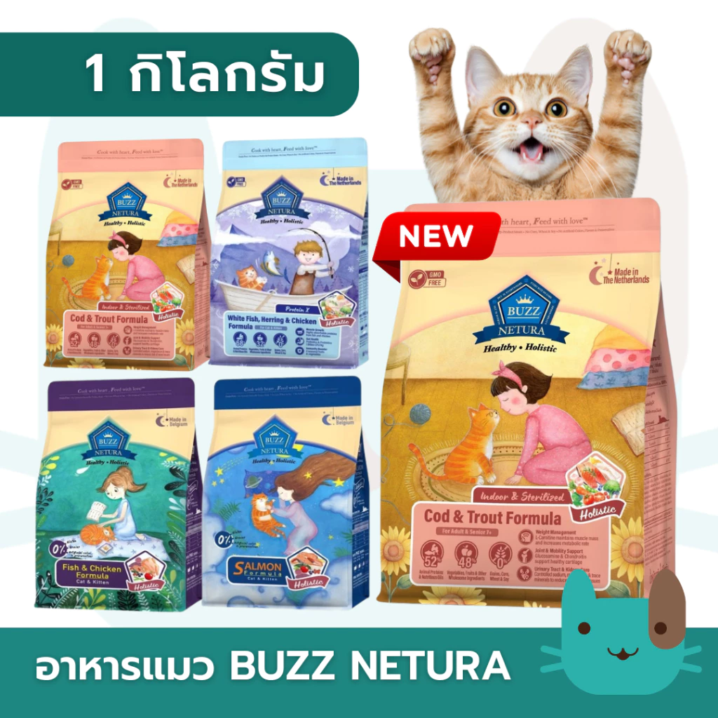 BUZZ Netura Cat Holistic (1kg) อาหารแมว เกรนฟรี สูตรแซลมอน สูตรไก่ สำหรับทุกช่วงวัย