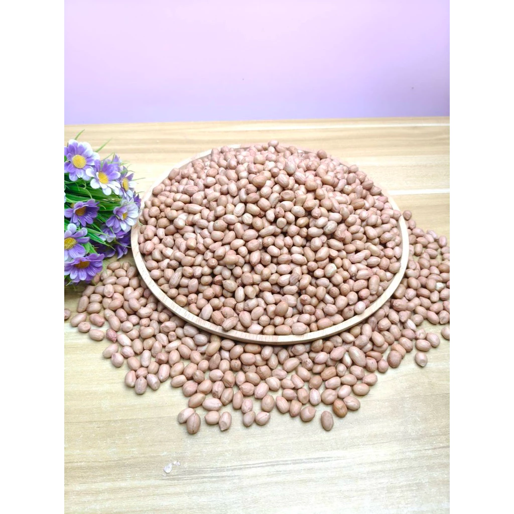 🌱เมล็ดถั่วลิสงพันธุ์ขอนแก่น 6 เมล็ดสำหรับทำพันธุ์แบบแกะเปลือกแล้วขนาด 1 กิโลกรัม🌱