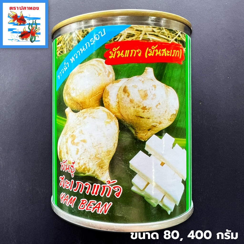 เมล็ดมันแกว มันเภา หัวแปะกัวะ มันละแวก มันลาว กระป๋อง ขนาด 80, 400 กรัม ตราปลาทอง พันธุ์ สะเภาแก้ว