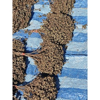 มะแขว่น 1กิโล หอมๆ มะแขว่นตากแห้ง