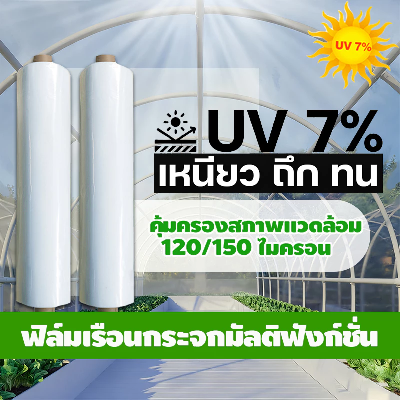 【ราคาถูก 】พลาสติกคลุมโรงเรือน 3x5 3x10 4x5 4×6 4x10 5×8M หนา150 ไมครอน UV 7 % กันน้ำ 100%