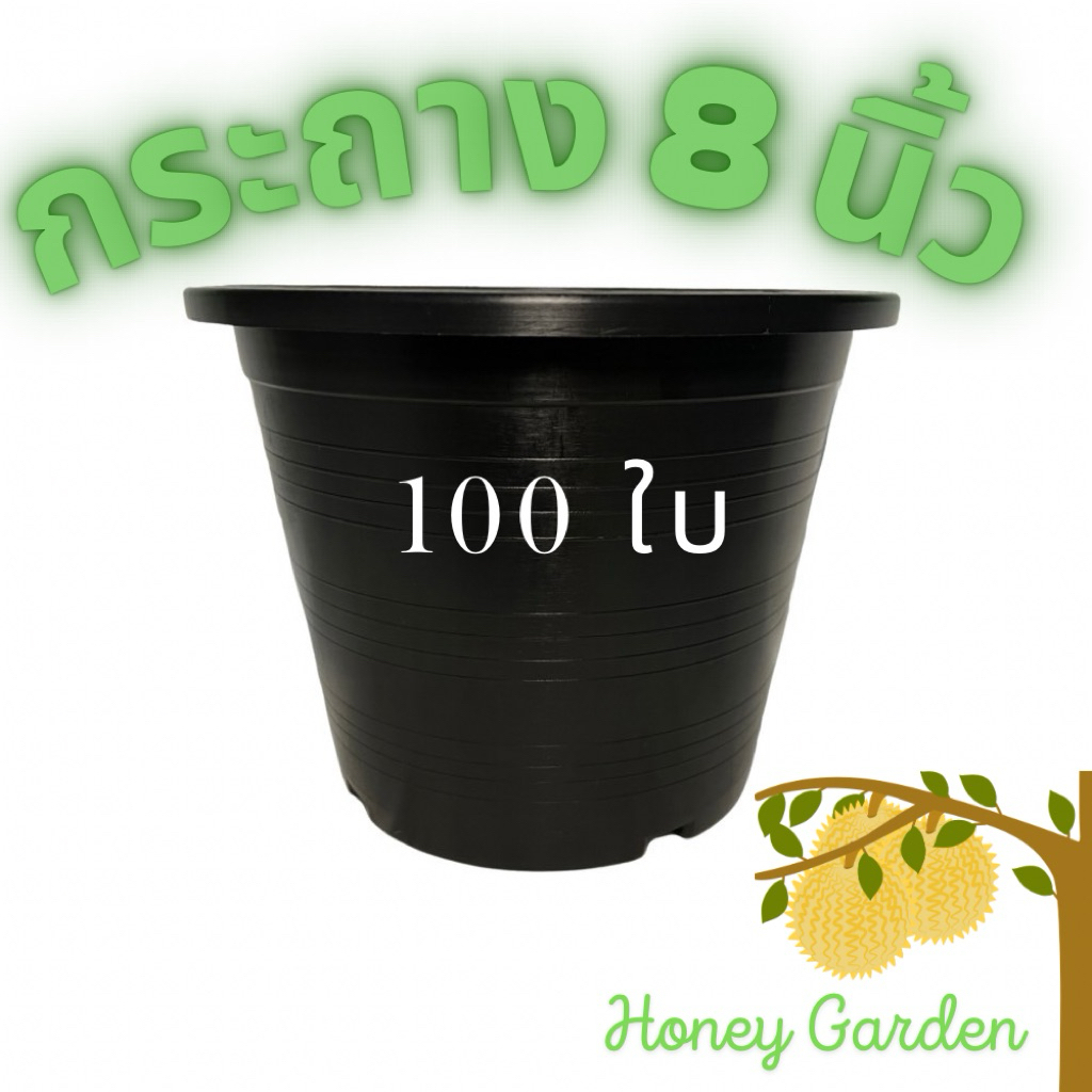 กระถาง 8 นิ้ว 100 ใบ กระถางพลาสติก พร้อมส่ง