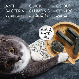 Catme cat litter แคสมี ทรายแมวภูเขาไฟ ควบคุมกลิ่น ​ขนาด 10L