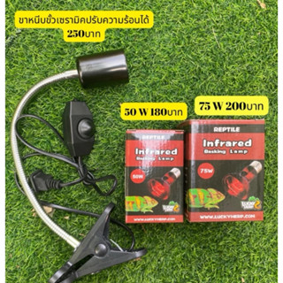 หลอดไฟอินฟราเรด 50W / 100W สำหรับกกไฟช่วงกลางคืน (ไฟสีแดง)เห…