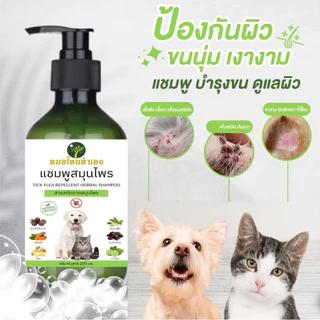 [หมอไทยทำเอง] แชมพูบรรเทาโรคผิวหนัง ไล่ ป้องกันเห็บหมัด ขี้เรื้อนสุนัข แมว เชื้อรา ยีสต์ คันเกา ขนร่วง 200 ml. สมุนไพร