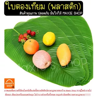 🔥ส่งฟรี🔥 ใบตองปลอม wanna มี8ขนาด ใบตองเทียม ใบตองปลอมรองอาหาร พลาสติก ใบกล้วยปลอม ใบบัวปลอม ใบตองพลาสติก ใบตองรองอาหาร