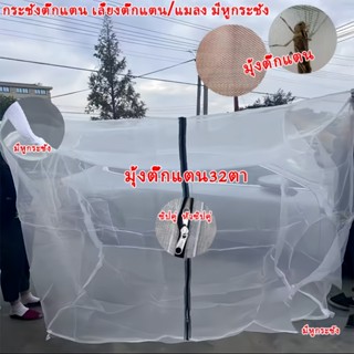 มุ้งตั๊กแตน มุ้ง ตั๊กแตน 32 ตา มุ้งเลี้ยงตแตน กระชังตั๊กแตน3…