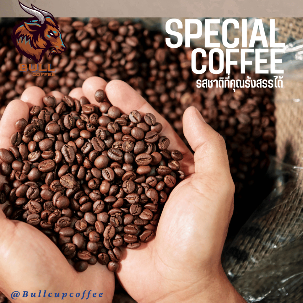สินค้าแถมฟรี (กาแฟขนาด 100 กรัม)