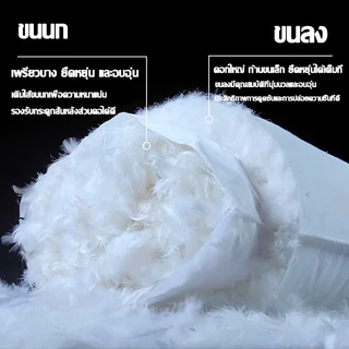 COD🎄เย็นสบาย หมอนเย็น หมอน แก้ปวดคอ Snow Pillow หมอนสุขภาพ 1000G หมอนนอน หมอนหนุน ป้องกันไรฝุ่น