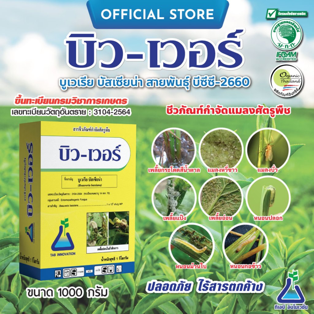 บิว-เวอร์ บูเวเรีย บัสเซียน่า จาก ทีเอบี  บิวเวอร์เรีย ชีวภัณฑ์กำจัดแมลง เพลี้ยอ่อน แมลงหวี่ เพลี้ยหอย เพลี้ยแป้ง กระโดด