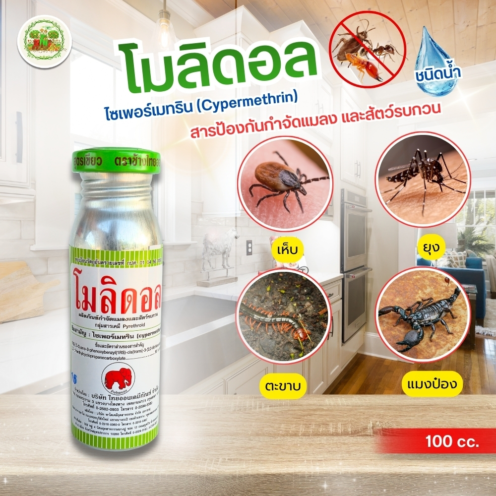 โมลิดอล (ชนิดน้ำ) สารกำจัดแมลงคลาน เห็บ หมัด มด  ไซเพอร์เมทริน 10%  กำจัดแมลงคลาน ในคอกสัตว์ บ้าน พื้นที่ต่างๆ 100 ซีซี