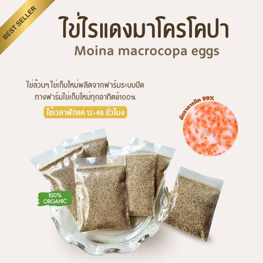 ไข่ไรแดงมาโครโคปา 1 ถุงซิป รับประกันการฟัก99.9% ไข่ใหม่ เก็บจากฟาร์มระบบปิดฟักตัวไม่ดีเคลมฟรีค