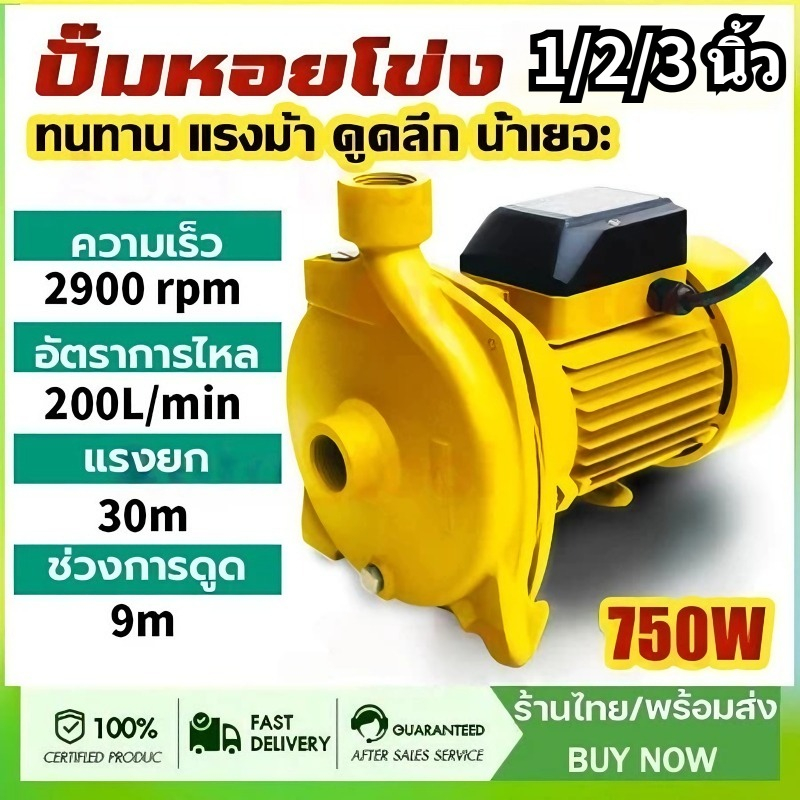 ปั๊มน้ำไฟฟ้า ปั๊มหอยโข่ง ปั๊มน้ำ 2 นิ้ว 2 แรงม้า (220V) ขดลวดทองแดงแท้ ใบพัดทองเหลือง