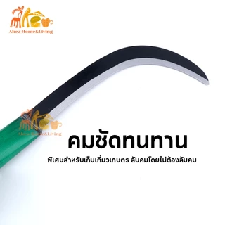 เคียวแมงกานีส เคียวเกี่ยวหญ้า เคียวด้ามยาว มีดถางหญ้า ทำจากเหล็กแมงกานีส มีดพร้า อิเล็กโตรโฟรีซิส ตัดแต่งกิ่งไม้