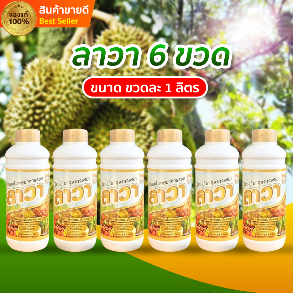 ปุ๋ยน้ำลาวา 6 ขวดใหญ่ ปริมาณขวดละ 1 ลิตร