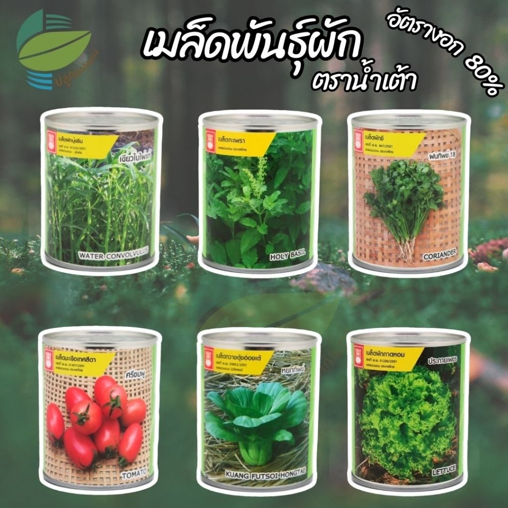 เมล็ดพันธุ์ผัก ตราน้ำเต้า ( กะเพราแดง แมงลัก โหระพา คะน้า กวางตุ้ง ผักบุ้ง ผักสลัด ผักโขม เขียวน้อย ขึ้นฉ่าย ผักชี )