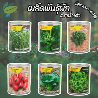 เมล็ดพันธุ์ผัก ตราน้ำเต้า ( กะเพราแดง แมงลัก โหระพา คะน้า กว…