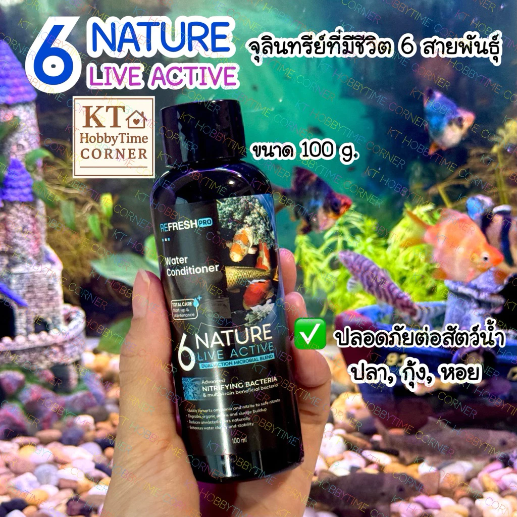 จุลินทรีย์ตู้ปลา 6NATURE Nitrifying + Bacillus 6 สายพันธุ์ น้ำใส ลดกลิ่น ตั้งตู้ปลา ไม้น้ำ กุ้ง