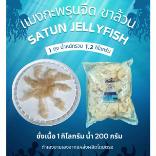 แมงกะพรุนล้างจืด 1.2 กิโลกรัม(ขาล้วน)