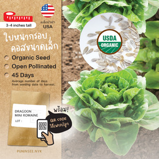 เมล็ดผักนำเข้า มินิคอส Dragoon Mini Romaine (Organic Seed) L…