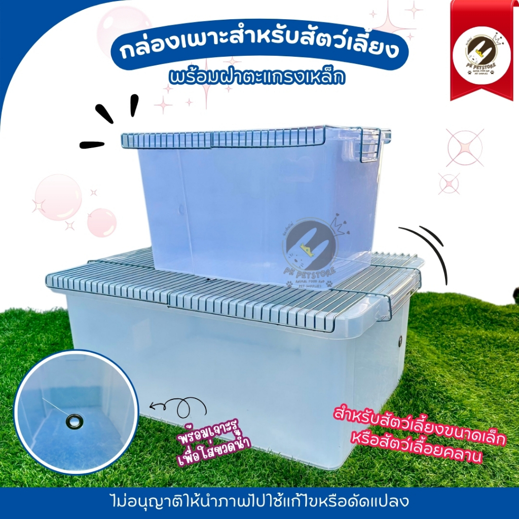 กล่องเพาะ กระบะ พร้อมฝาปิด กะบะเพาะ​สัตว์เลี้ยง (พร้อมเจาะรูสำหรับให้น้ำ) สำหรับสัตว์เลี้ยงขนาดเล็กหรือสัตว์เลื้อยคลาน