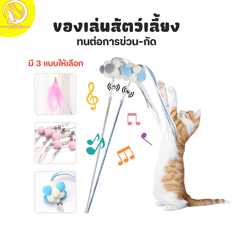 Cat Teaser ของเล่นแมว ไม้ตกแมว ไม้ล่อแมว ที่ล่อแมว ของเล่นที่ดีที่สุดสำหรับการเล่นกับแมว