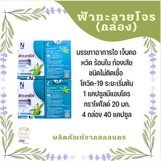 ฟ้าทะลายโจร (ชุด 4 กล่อง)