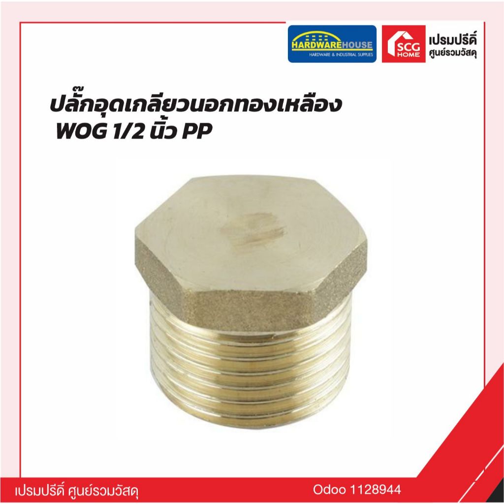 ปลั๊กอุดเกลียวนอกทองเหลือง WOG 1/2 นิ้ว PP