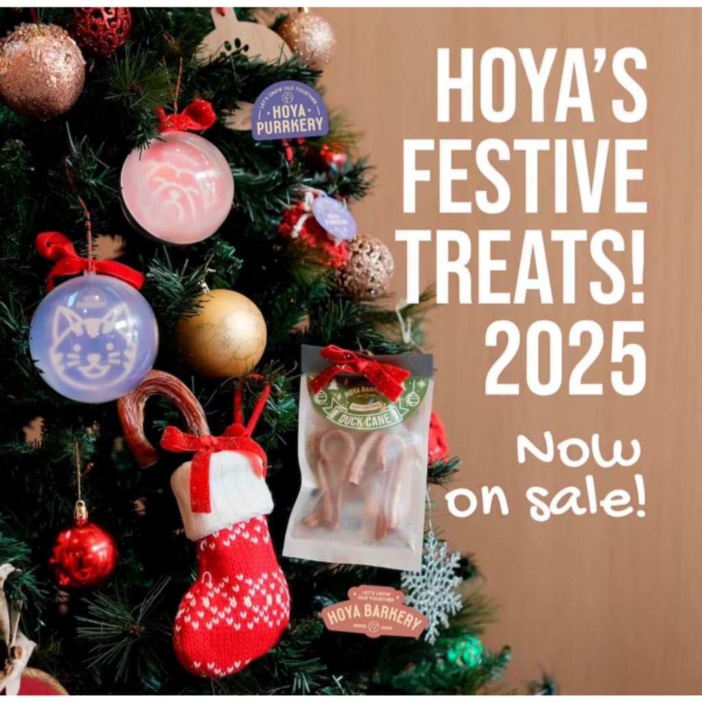 Hoya Bully Cane (limited time offer) ตัวเดียววัว คริสต์มาสน้องหมา Hoya Barkery Christmas dog treats