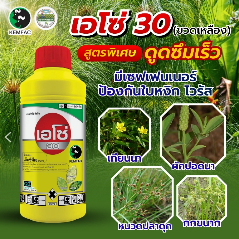 เอโซ่ 30 (ขวดเหลือง) สูตรพิเศษ ขนาด1ลิตร #เอ็มซีพีเอ ปราบวัชพืชใบกว้าง เทียนนา ผักบุ้ง #ตรากระทิงคู่