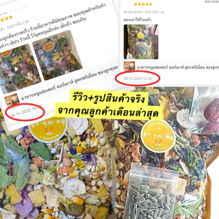 อาหารแฮมเตอร์ ดอร์เมาส์ สำหรับ หนูเเฮมเตอร์ ทุกสายพันธุ์