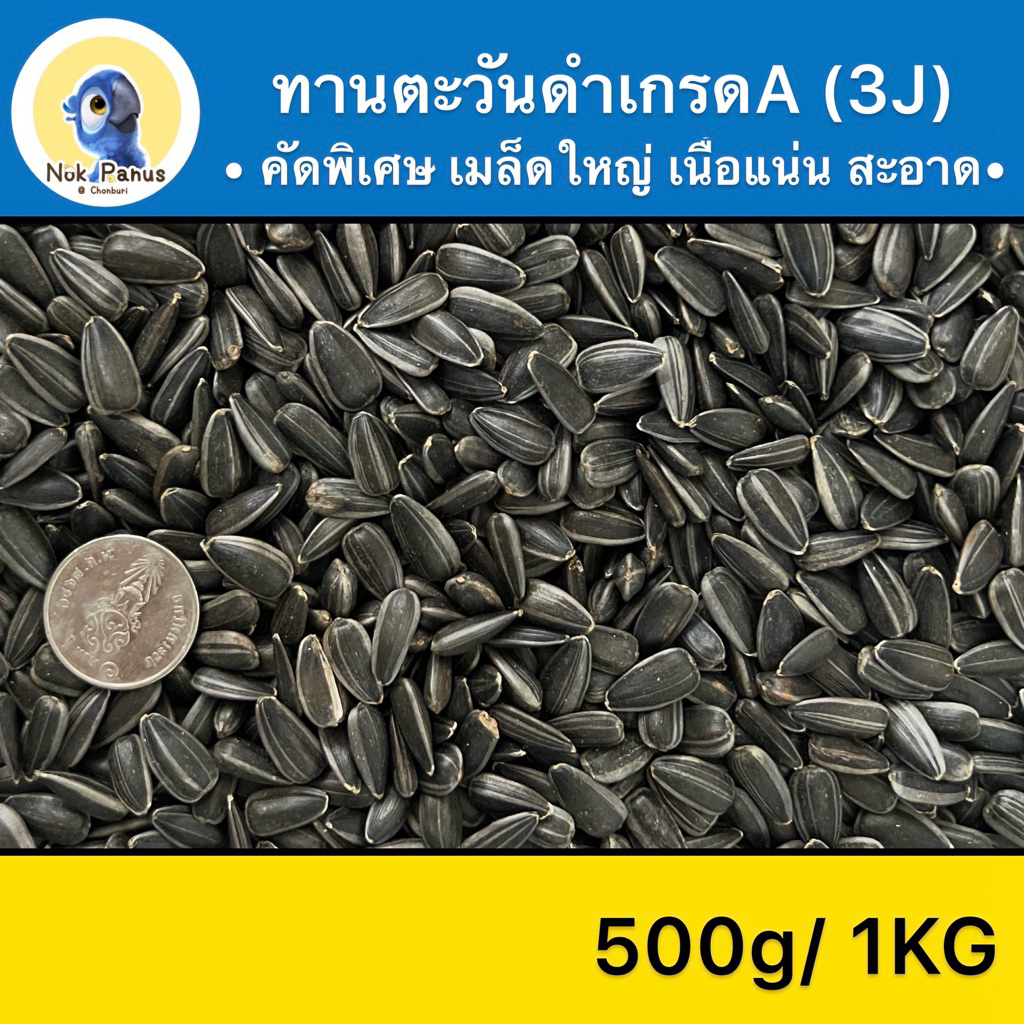 ล็อตใหม่ ทานตะวันดำเล็ก(3J)คัดพิเศษ เนื้อแน่น อาหารนกแก้ว และสัตว์ฟันแทะ สะอาด