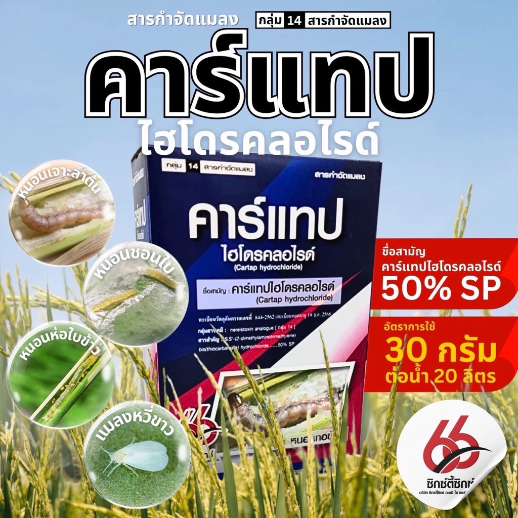 คาร์แทปไฮโดรคลอไรด์(ตราซิกตี้ซิกซ์66)☘️ขนาด 1 กิโลกรัม🐛สารป้องกันกำจัดแมลง หนอน ด้วงหมัดผัก