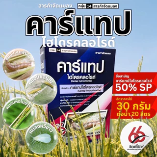 คาร์แทปไฮโดรคลอไรด์(ตราซิกตี้ซิกซ์66)☘️ขนาด 1 กิโลกรัม🐛สารป้องกันกำจัดแมลง หนอน ด้วงหมัดผัก